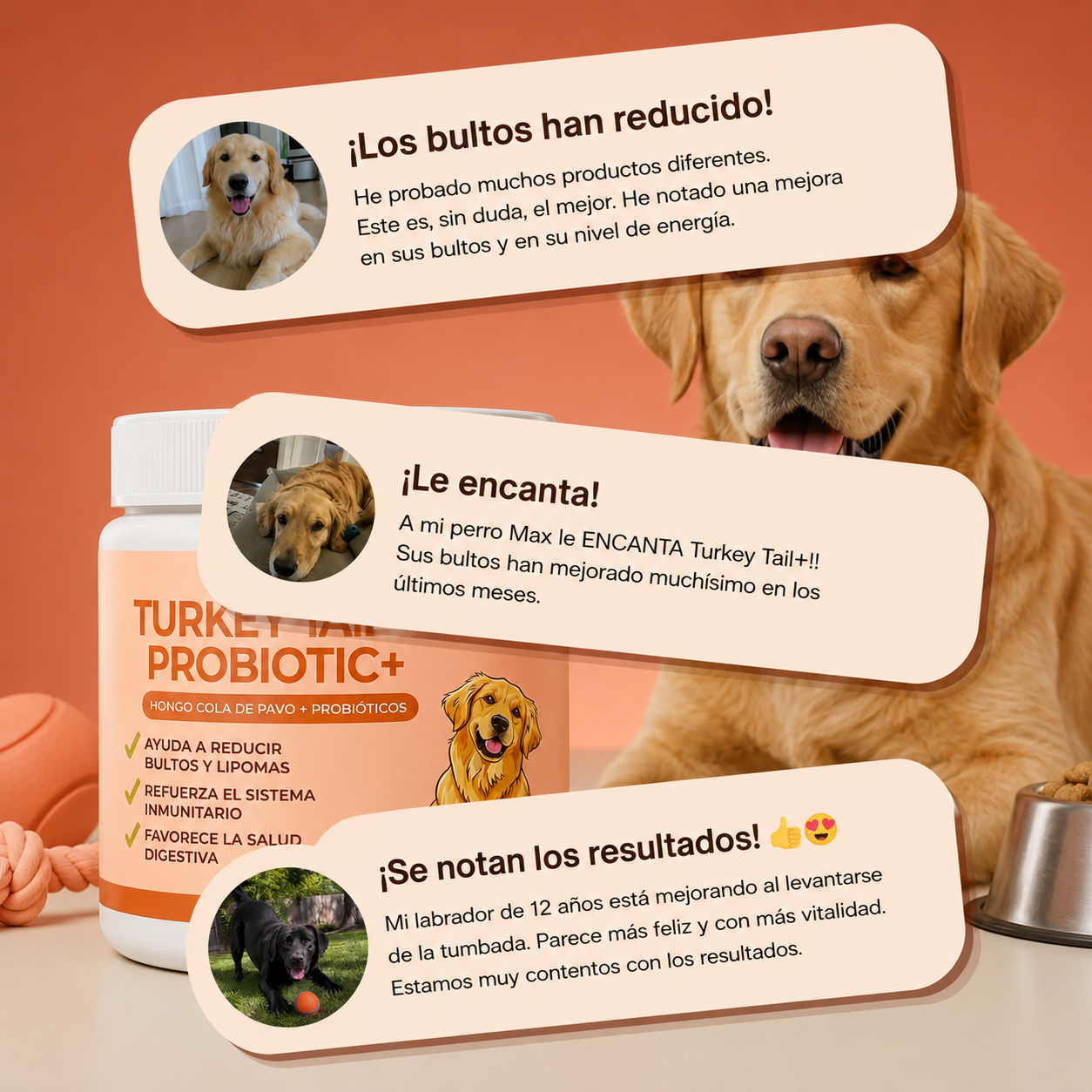 Turkey Tail Probiotic